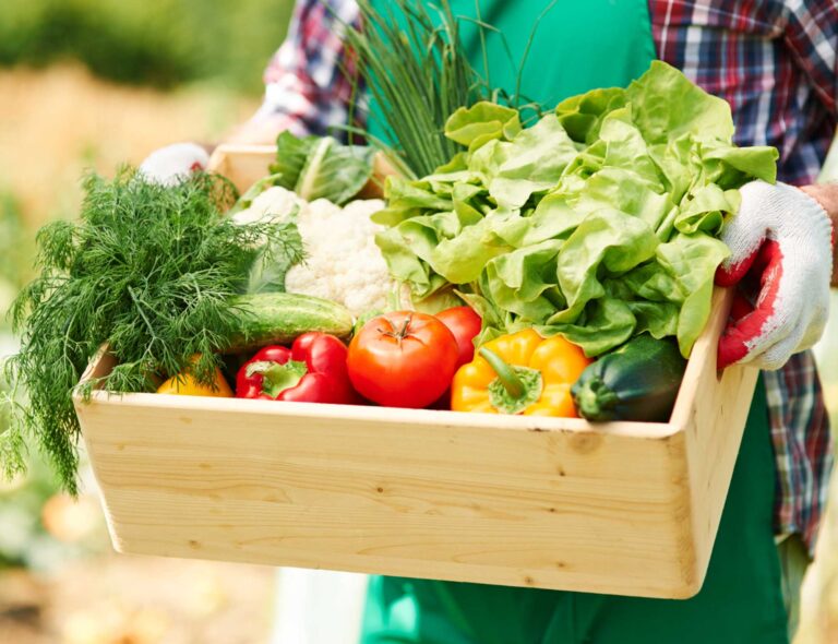 Guía para incluir la transición agroalimentaria sostenible en el desarrollo de las EDLP
